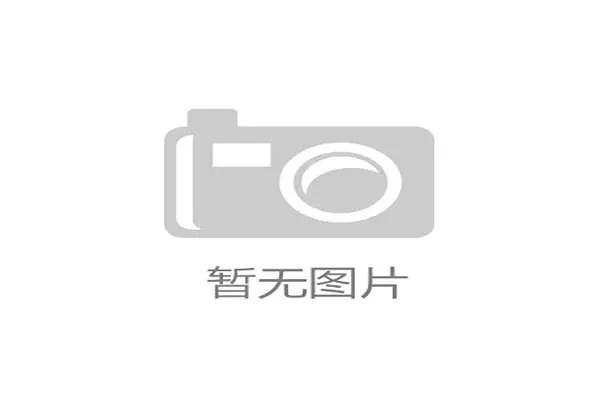 1930年世界杯德国队射手群像
